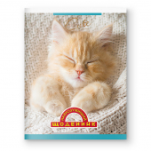 Купить Щоденник Найрозумніший «Миле кошеня» м'яка палітурка оптом
