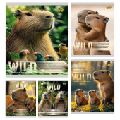 Тетрадь 18 л. линия «Капібара» Тетрада