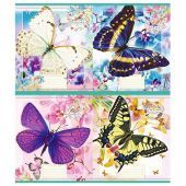 Купить Тетрадь 12л. клетка «Метелики» Тетрада оптом