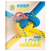 Купить Щоденник «Найрозумніший» мягкая обложка  1В3080 оптом