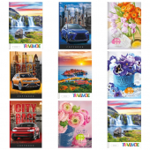 Тетрадь А5, 64 л., клетка,офсет, твердый переплет