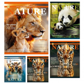 Тетрадь 18 л. клетка «Тварини» Тетрада