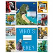 Тетрадь 48 л. клетка «Мікс-4» Тетрада