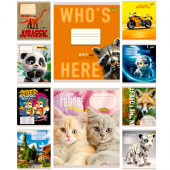 Тетрадь 12 л. клетка «МІКС КВ2» Тетрада