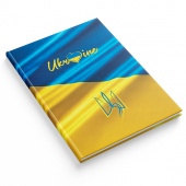 Купить Тетрадь А4, 96л, клетка.,твердый переплет 1В2998 оптом