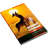 Купить Зошит-словник для запису iноземних слiв, УФ-лак, 1В2674 оптом