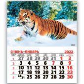 Купить Календарь с отрывными листами на магните 2022 год MNB 01 оптом