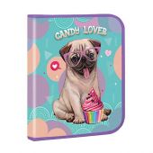 Купить Папка для тетрадей В5 картонная на молнии « Candy lover» оптом