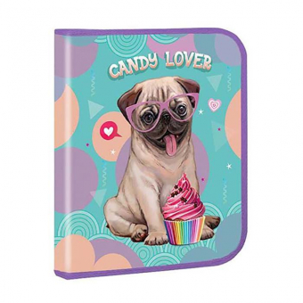 Купить Папка для тетрадей В5 картонная на молнии « Candy lover» оптом