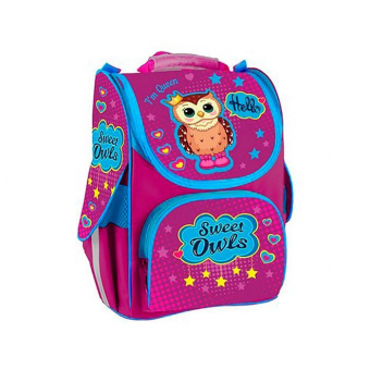 Купить Рюкзак школьный каркасный с ортопед. спинкой «SWEET OWLS»  оптом